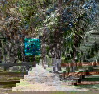 Blueberry Hills On Comleroy - Hervey Bay Accommodation