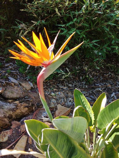 Blue Waters Holiday Cottages For 2 - Hervey Bay Accommodation 4