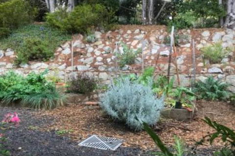 Alpine Aspects - Hervey Bay Accommodation 6