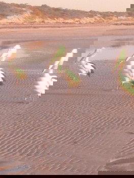 Perlubie Sea - Hervey Bay Accommodation 6