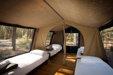 Paradise Country Farmstay - Hervey Bay Accommodation 6