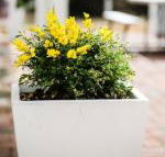 Esperance Coastal Retreat - Tourism Hervey Bay