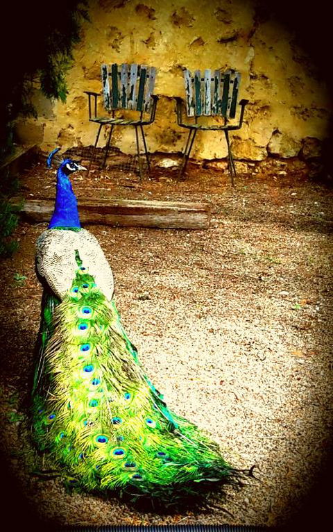 A La Folly - Hervey Bay Accommodation 4