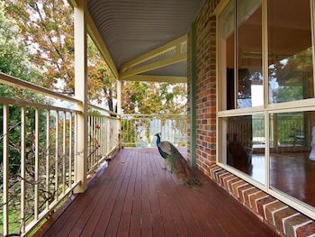 The Acreage B&B - Tourism Hervey Bay 4