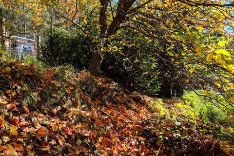 Mountain Blue Guest Accommodation - Tourism Hervey Bay 1