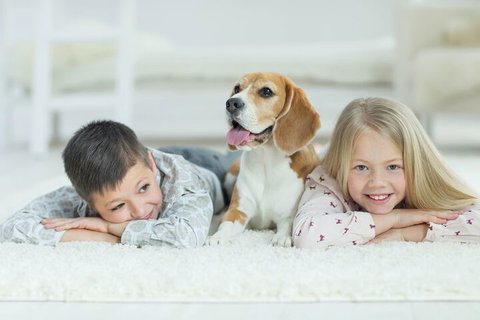 BOUTIQUE STAYS - Brighton Abode - Hervey Bay Accommodation 5
