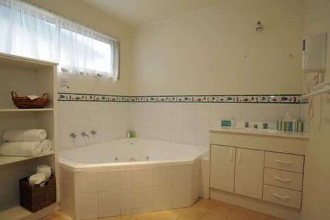 BIG4 Anglesea Holiday Park - Hervey Bay Accommodation 2
