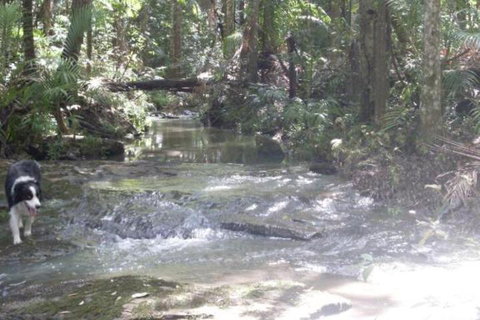 Stay At LP Montville - Hervey Bay Accommodation 4