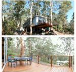The Tree House