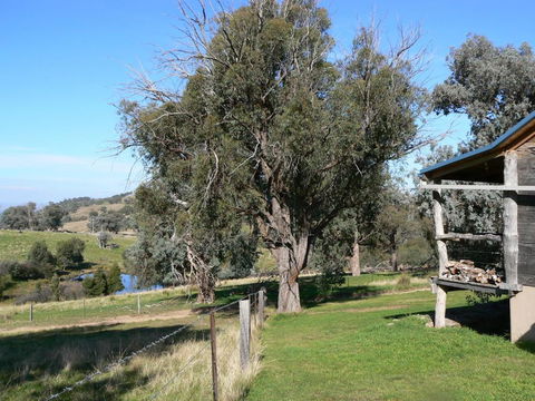 Gaddleen Grove Cottages - Tourism Hervey Bay 6