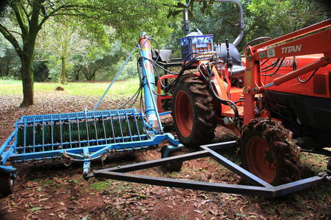 Terania Creek Farmstay - Hervey Bay Accommodation 4