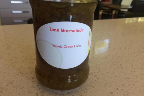 Terania Creek Farmstay - Hervey Bay Accommodation 2