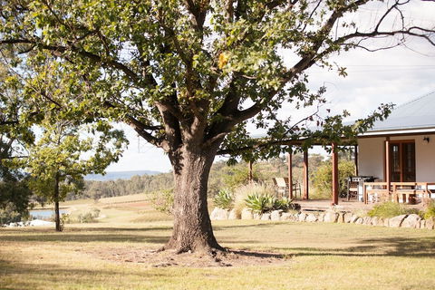 Audrey Wilkinson Vineyard - Hervey Bay Accommodation 2