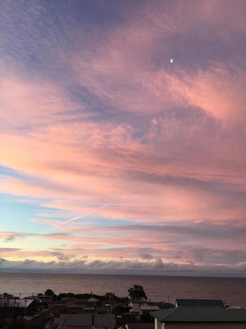 Penguin Seaside Homestay - Hervey Bay Accommodation 5