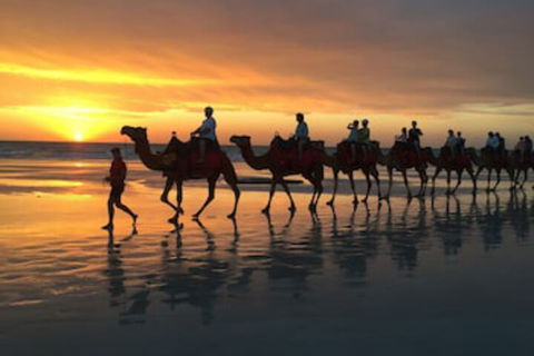 Beach House On Fox - Tourism Hervey Bay 0