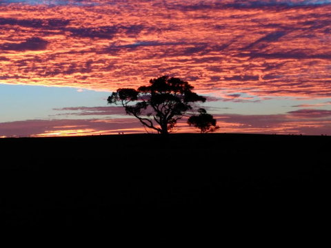 Heartland Hideaway - Hervey Bay Accommodation 3