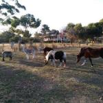 Heartland Hideaway - Hervey Bay Accommodation 0