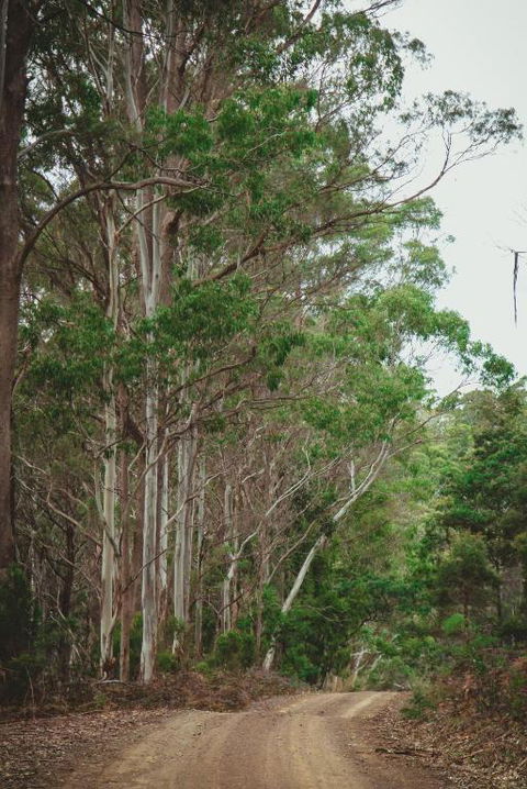 Naivasha Cottage - Hervey Bay Accommodation 2