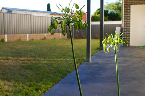 Maison Executive - Tourism Hervey Bay 3