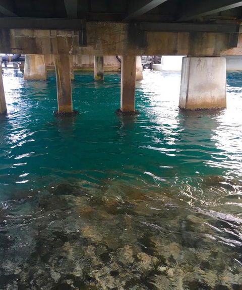 Churchills B & B - Tourism Hervey Bay 6