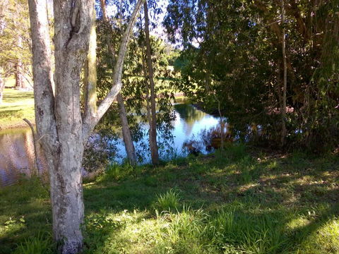 Eumundi Cottages Cottage 1 - Hervey Bay Accommodation 4