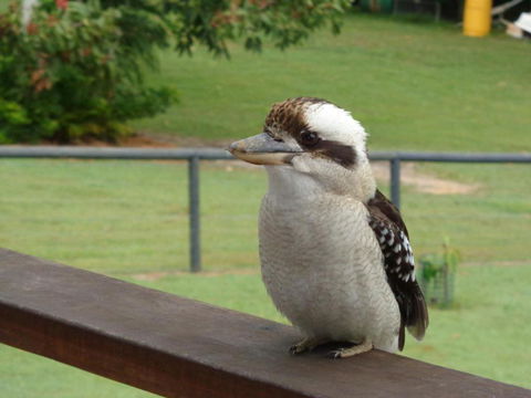 Eumundi Cottages Cottage 1 - Hervey Bay Accommodation 3