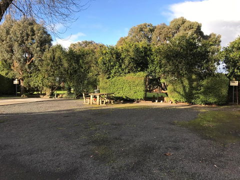 Pinewood Caravan Park - Hervey Bay Accommodation 1