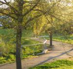 A Suite Spot in the Hills - Hervey Bay Accommodation