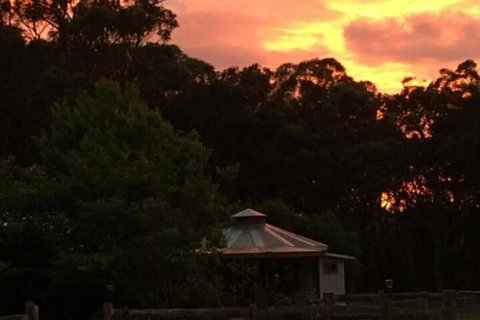 Ionaforest Yurt & Shepherds Hut - Hervey Bay Accommodation 4