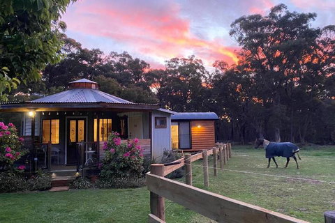 Ionaforest Yurt & Shepherds Hut - Hervey Bay Accommodation 3