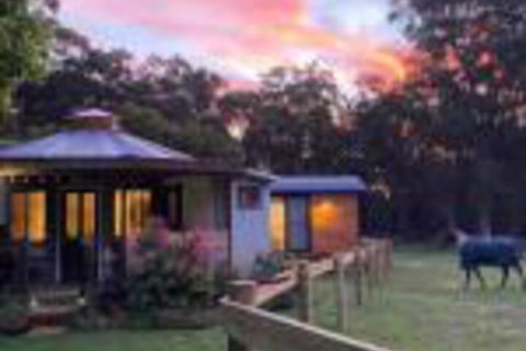 Ionaforest Yurt & Shepherds Hut - Hervey Bay Accommodation 0