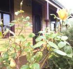 Albion Cottage - Hervey Bay Accommodation