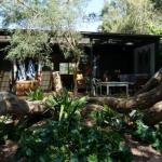 Santa Monica - Tourism Hervey Bay 0