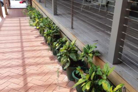 Port Central No 4 - Hervey Bay Accommodation 2