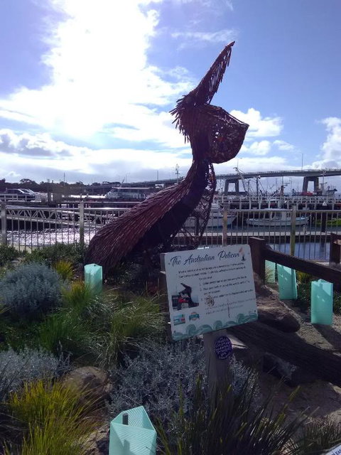 Beach Haven Caravan Park - Hervey Bay Accommodation 3