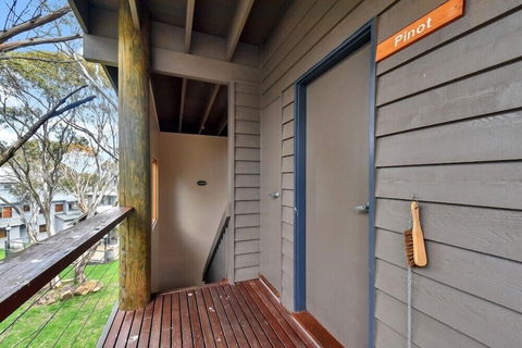 Pinot - Hervey Bay Accommodation 2