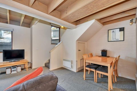 Pinot - Hervey Bay Accommodation 0