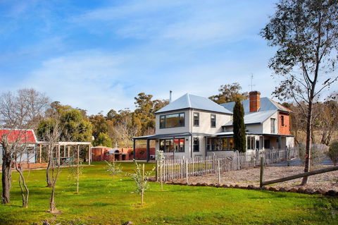 Morgantis - Tourism Hervey Bay 0