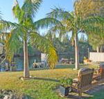 The Oasis on Jacobs Drive - Hervey Bay Accommodation