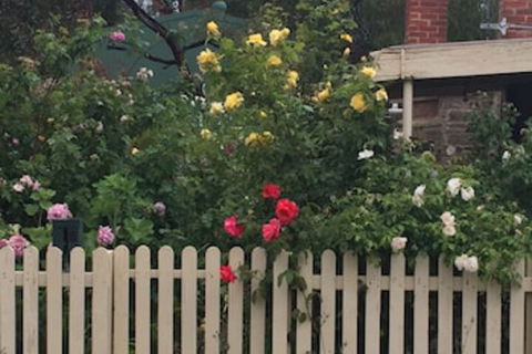 Blyth Cottage Burra - Hervey Bay Accommodation 0