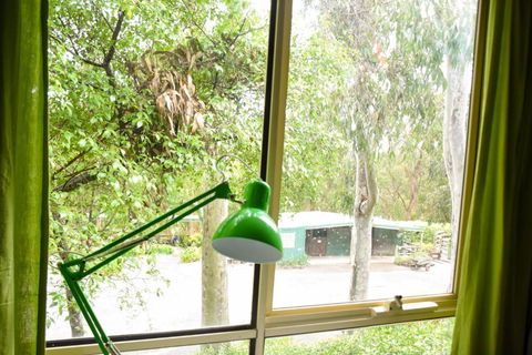 Avoca Park - Tourism Hervey Bay 2