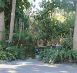 Avoca Park - Hervey Bay Accommodation