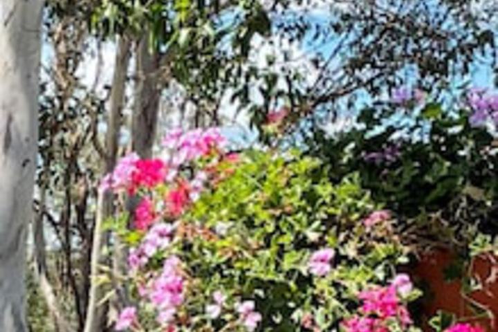 The Bluff QLD Hervey Bay Accommodation