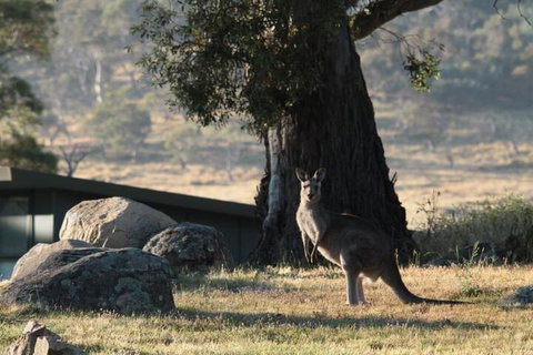Ecocrackenback 14 Sustainable Luxurious Chalet Close To The Slopes. - Hervey Bay Accommodation 1