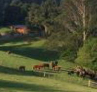 Amaroo Valley Springs - Hervey Bay Accommodation
