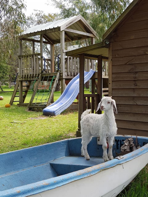 Ripples N Tonic - Hervey Bay Accommodation 2