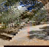 Bushland - Tourism Hervey Bay