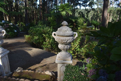 Forest Edge Cottage At Merrow Cottages - Hervey Bay Accommodation 2