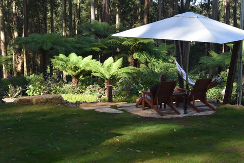 Forest Edge Cottage At Merrow Cottages - Hervey Bay Accommodation 5