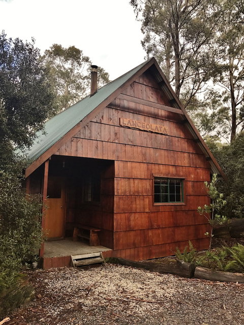 Cradle Mountain Highlanders Cottages - Hervey Bay Accommodation 4